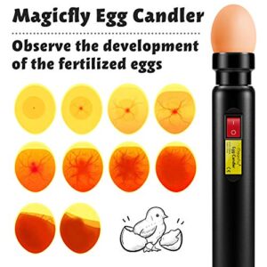 Magicfly Rechargeable Wireless Egg Candler Tester for Monitoring Eggs Development, Bright Cool LED Light Candling Lamp