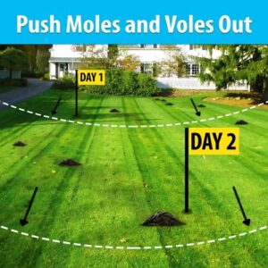 Nature’s MACE Mole & Vole Repellent 1 Gallon Castor Oil Concentrate/Covers up to 20,000 Sq. Ft. / Keep Moles and Voles Out of Your Lawn and Garden/Safe to use Around Home & Plants Guaranteed