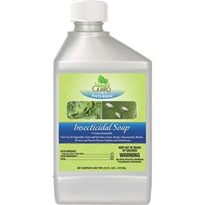 vpg fertilome natural guard (40704) insecticidal soap