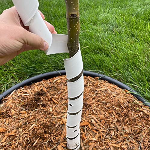 MASTER MARK TreeMaster Spiral Tree Protector, Plastic Tree Guard, Tree wrap, Tree bark Protection, Tree Tubes, 24" (2 Pack)