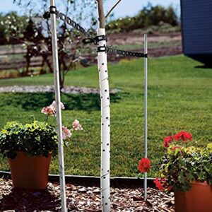 MASTER MARK TreeMaster Spiral Tree Protector, Plastic Tree Guard, Tree wrap, Tree bark Protection, Tree Tubes, 24" (2 Pack)