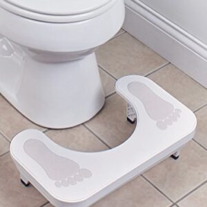 Viatek Consumer EZ-Go Toilet Stool Ergonomic Restroom Aid