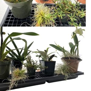 Humidity Tray Indoor Plant Stand Growing Tray for Bonsai, Orchids, Other Plants