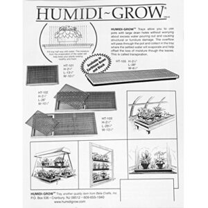 Humidity Tray Indoor Plant Stand Growing Tray for Bonsai, Orchids, Other Plants