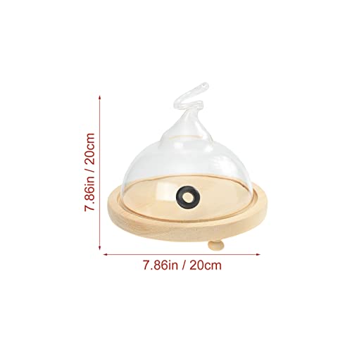 GANAZONO 1 Set Cloche Dome Cover Cocktail Drinks Lid with Wooden Base Clear Glass Display Dome for Infuser Smoker