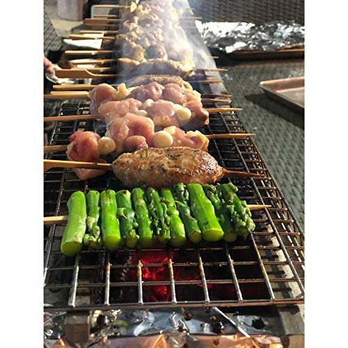 The Bincho Grill GR915L Yakitori Tabletop Charcoal Griller Japanese Style Robata, 36" Made in USA