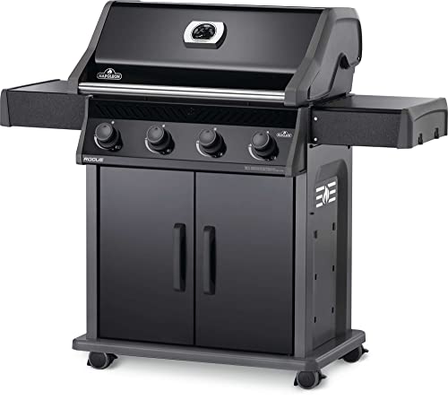 Napoleon Propane Gas Grill