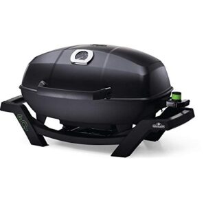 Napoleon Propane Gas Grill