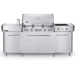 weber summit s-670 6 burner stainless steel natural gas grill center