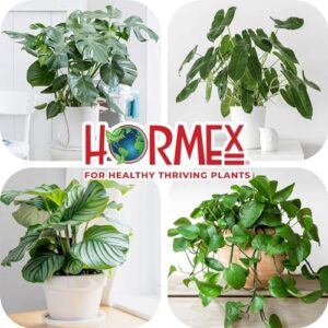 Hormex Rooting Powder #16 - for Difficult to Root Woody Plants - 1.6 IBA Rooting Hormone for Plant Cuttings - Fast & Effective - Free of Alcohol, Dye, Gel & Preservatives for Healthier Roots, 21g