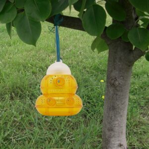 PIC Yellow Jacket & Wasp Trap