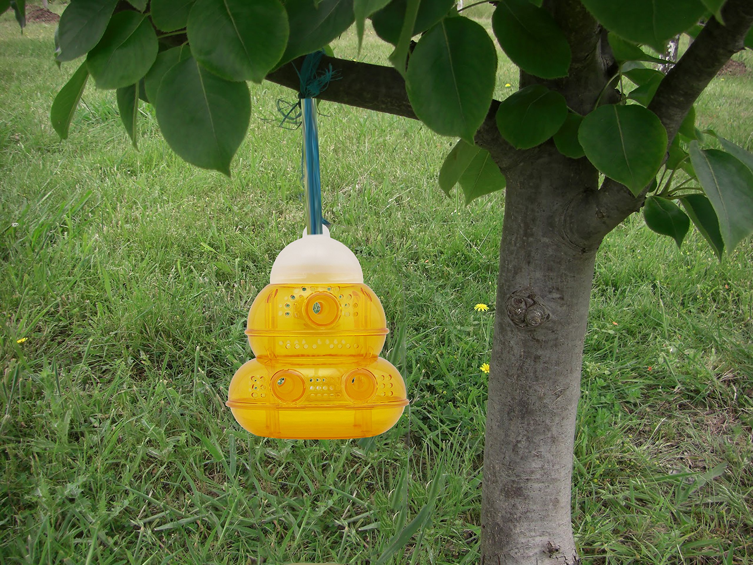 PIC Yellow Jacket & Wasp Trap