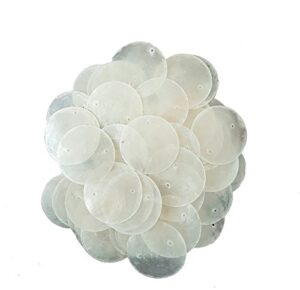 east-j 100 round capiz shell discs 1.5" (two holes) (natural color)