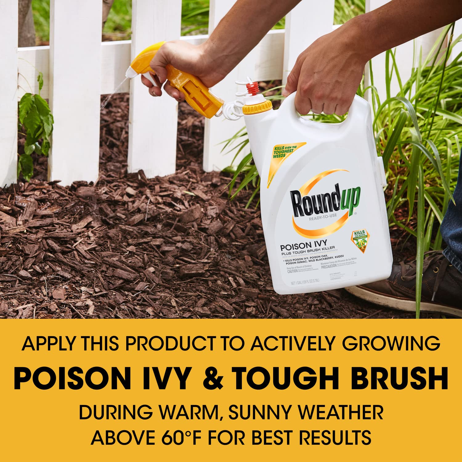 Roundup Ready-To-Use Poison Ivy Plus Tough Brush Killer, for Weeds, Grass, Stumps and Vines, Trigger Sprayer, 1 gal