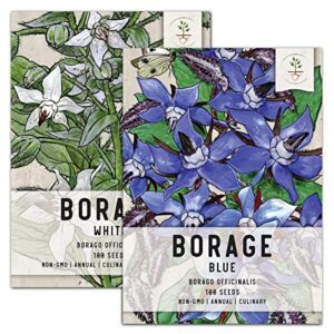 seed needs, white/blue borage seed packet collection (2 individual borage varieties for planting) heirloom, non-gmo & untreated