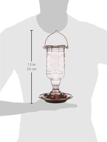 More Birds Amethyst Jewel Hummingbird Feeder, Glass Hummingbird Feeders for Outdoors, 5 Feeding Stations, 20 Ounces