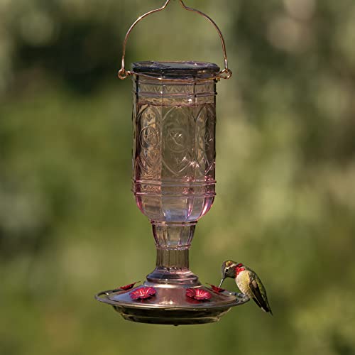 More Birds Amethyst Jewel Hummingbird Feeder, Glass Hummingbird Feeders for Outdoors, 5 Feeding Stations, 20 Ounces