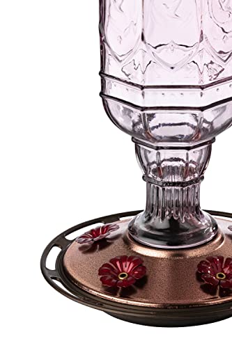 More Birds Amethyst Jewel Hummingbird Feeder, Glass Hummingbird Feeders for Outdoors, 5 Feeding Stations, 20 Ounces