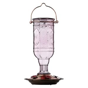 More Birds Amethyst Jewel Hummingbird Feeder, Glass Hummingbird Feeders for Outdoors, 5 Feeding Stations, 20 Ounces