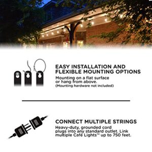 Enbrighten Premium Warm White String Lights, 48ft Black Cord, 24 Shatterproof Acrylic Bulbs, Weatherproof, Outdoor String Lights, 35631