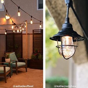 Enbrighten Premium Warm White String Lights, 48ft Black Cord, 24 Shatterproof Acrylic Bulbs, Weatherproof, Outdoor String Lights, 35631