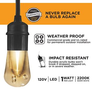 Enbrighten Premium Warm White String Lights, 48ft Black Cord, 24 Shatterproof Acrylic Bulbs, Weatherproof, Outdoor String Lights, 35631