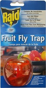 raid ffta fruit fly trap, red, 1 trap