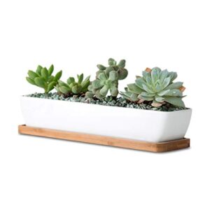 11inch long rectangle white ceramic succulent planter pots/mini flower plant containers with bamboo saucers. product size:11x2.36x1.77inch,not include the plant. (long rectangle)
