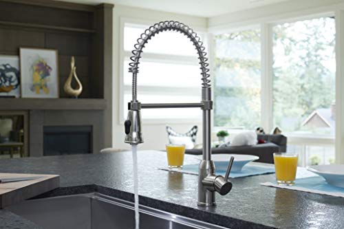 Pacific Bay Rainier Pull-Down Kitchen Sink Faucet (Chrome)