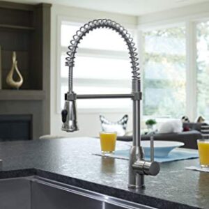 Pacific Bay Rainier Pull-Down Kitchen Sink Faucet (Chrome)