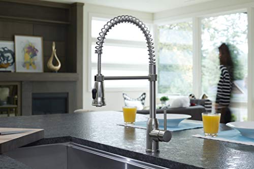 Pacific Bay Rainier Pull-Down Kitchen Sink Faucet (Chrome)