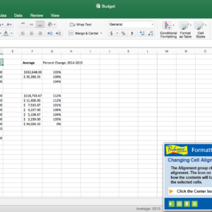 Professor Teaches Excel 2016 - Mac [Download]