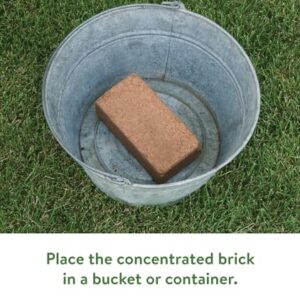 Burpee 8 qt Organic Coir Compressed Seed Starting Mix 1-Brick