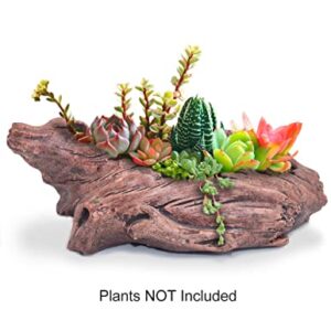 Dahlia Driftwood Stump Log Concrete Planter/Succulent Pot/Plant Pot, 7.9L x 4.3W