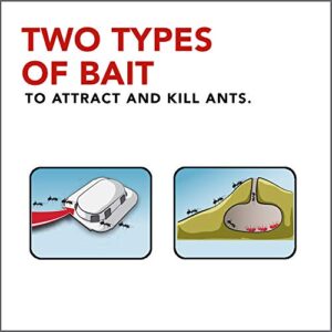 Raid Double Control Ant Baits, 4 CT (Pack - 1), plain