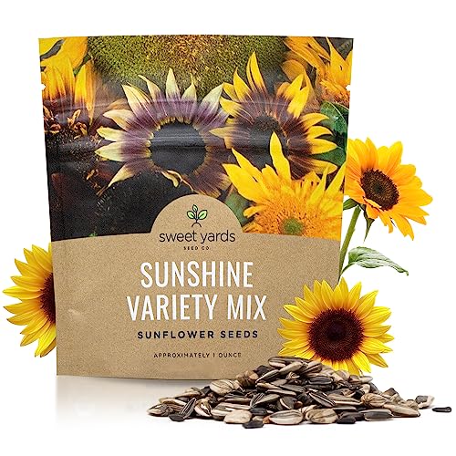 Sunflower Variety Mix 10 Types of Beautiful Sunflowers - Bulk 1 Ounce Packet - Open Pollinated Sunflower Seeds