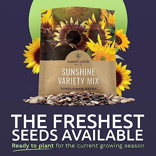 Sunflower Variety Mix 10 Types of Beautiful Sunflowers - Bulk 1 Ounce Packet - Open Pollinated Sunflower Seeds