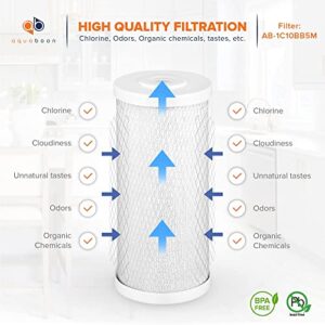 Aquaboon 5 Micron 10" x 4.5" CTO Carbon Block & Sediment Replacement Filter Cartridges Set, 2 pack COMPATIBLE WITH: FC25BX4, 32-450-20-GREEN, EP20-BB, 2C-20BB, DGD-5005-20, W15-PR, HD-950, WFHD13001B