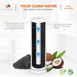 5 Stage Reverse Osmosis Replacement Water Filter Kit with 100GPD Membrane | 5 Micron 10 x 2.5 inch Cartridges | Compatible with DWC30001, WFPFC8002, FXWTC, WHEF-WHWC, WHKF-WHWC, Pentek DGD series