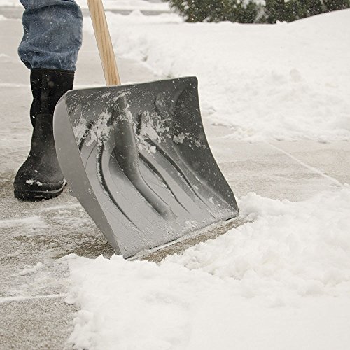 A.M. Leonard Snow Shovel with Steel Wear Strip, D-Grip, 18-inches Wide