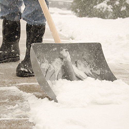 A.M. Leonard Snow Shovel with Steel Wear Strip, D-Grip, 18-inches Wide