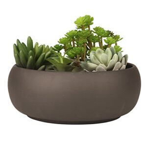 mygift 7 inch round unglazed brown ceramic plant pot with drainage hole, small shallow planter bowl for succulent, cactus and fillers