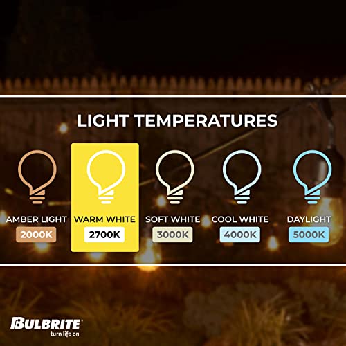 Bulbrite 14 ft, 10-Socket Decorative Kit with Clear Incandescent STRING10/E26/BLACK-S14KT Indoor and Outdoor String Lights, Black