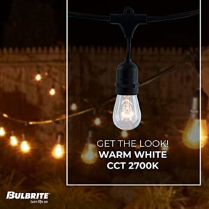 Bulbrite 14 ft, 10-Socket Decorative Kit with Clear Incandescent STRING10/E26/BLACK-S14KT Indoor and Outdoor String Lights, Black