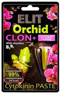 elit orchid clon+ cytokinin keiki cloning paste for burgeon awakening - bloom booster with vitamins b1 and b6 (1.5 ml)