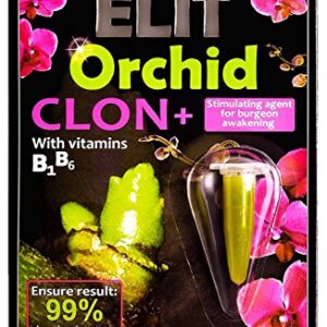 ELIT Orchid CLON+ Cytokinin Keiki Cloning Paste for Burgeon Awakening - Bloom Booster with Vitamins B1 and B6 (1.5 ml)