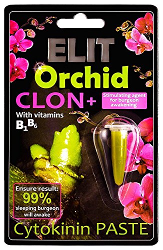 ELIT Orchid CLON+ Cytokinin Keiki Cloning Paste for Burgeon Awakening - Bloom Booster with Vitamins B1 and B6 (1.5 ml)