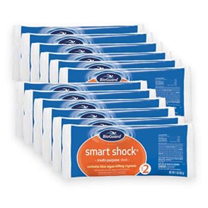 bioguard smart shock (1 lb) (12 pack)