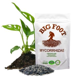 Big Foot Mycorrhizal Granular (4 OZ) with Kelp, Biochar, Worm Castings, Humic Acid, Trace Minerals| Treat Soil or 32-1 Gallon Pots |