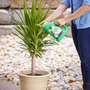 Miracle-Gro Shake 'N Feed Palm Plant Food, 4.5 lb., Feeds up to 3 Months